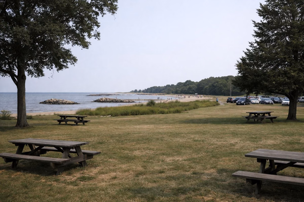 A broad mown picnic lawn with scattered shade trees and picnic tables near a beach parking area, people far in the distance