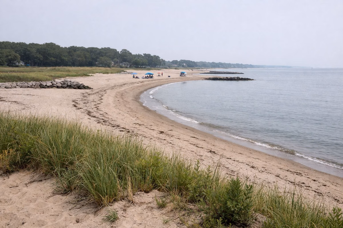 A long gently curving sandy beach on calm Long Island Sound, a few families with umbrellas far away, low grassy dune edge in the foreground